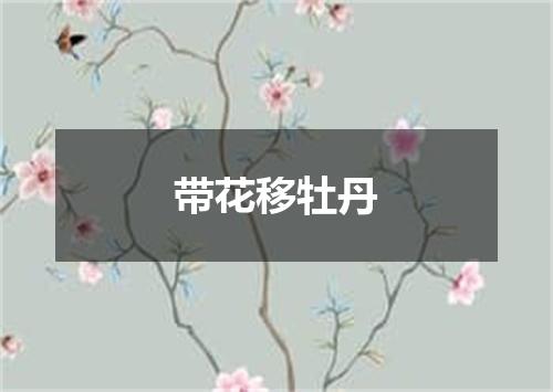 带花移牡丹