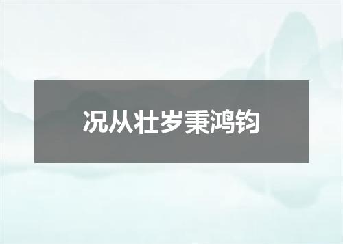 况从壮岁秉鸿钧