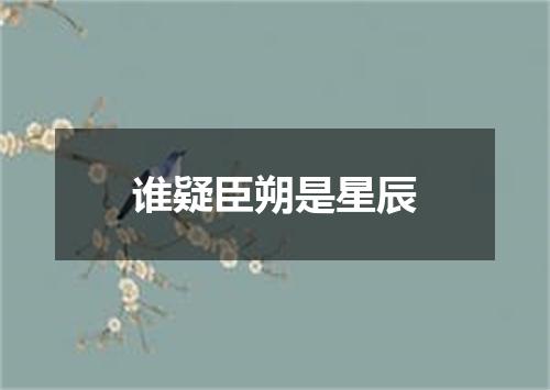 谁疑臣朔是星辰