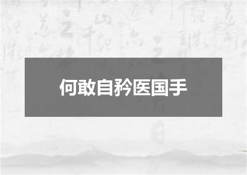 何敢自矜医国手