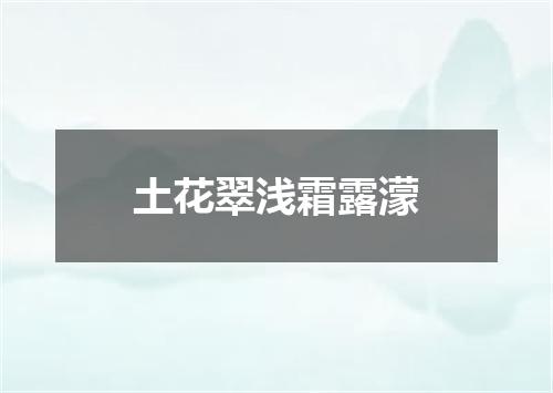 土花翠浅霜露濛