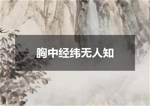 胸中经纬无人知