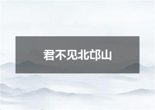 君不见北邙山