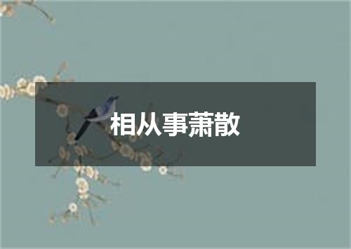 相从事萧散