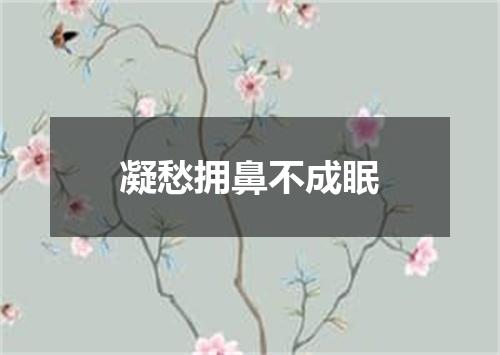 凝愁拥鼻不成眠