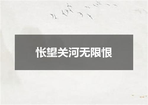 怅望关河无限恨