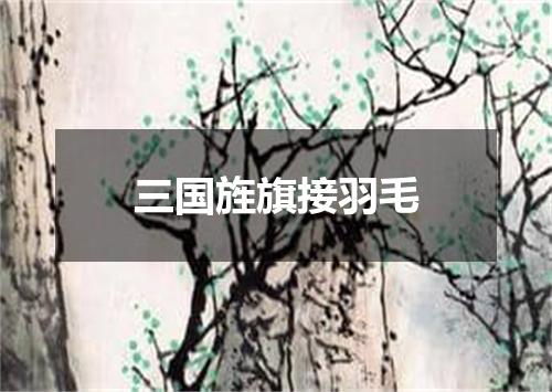 三国旌旗接羽毛