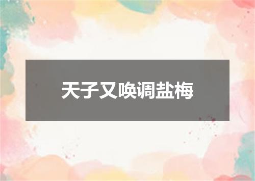 天子又唤调盐梅