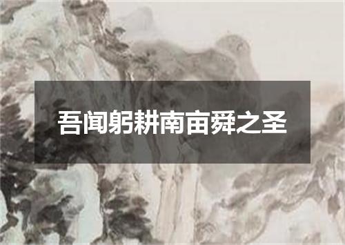 吾闻躬耕南亩舜之圣