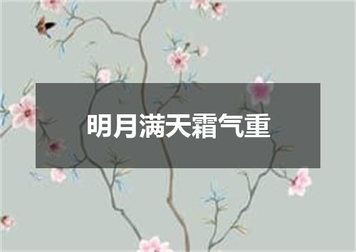 明月满天霜气重