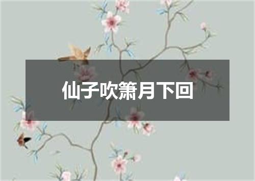 仙子吹箫月下回