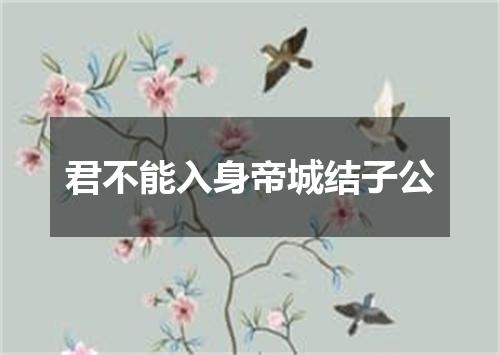 君不能入身帝城结子公