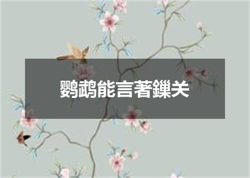 鹦鹉能言著鏁关