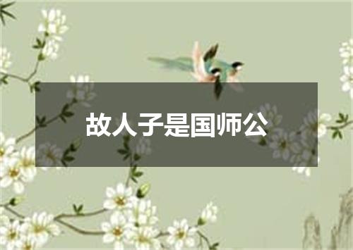 故人子是国师公