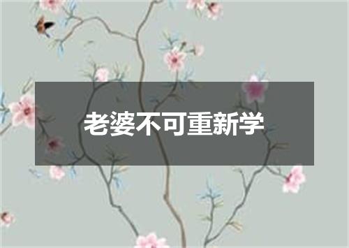 老婆不可重新学