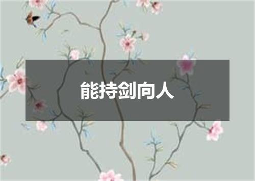 能持剑向人