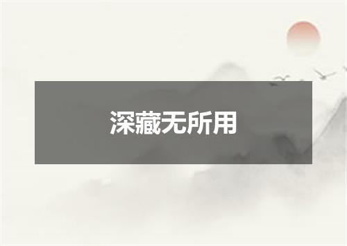 深藏无所用