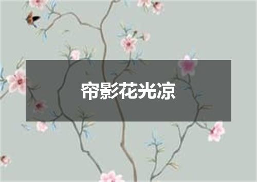 帘影花光凉