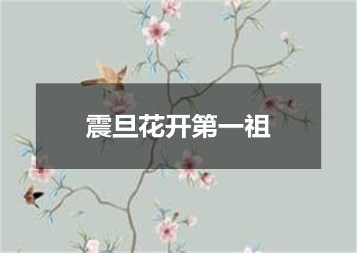 震旦花开第一祖