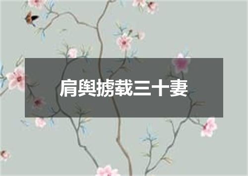 肩舆掳载三十妻