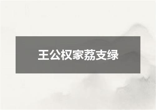 王公权家荔支绿