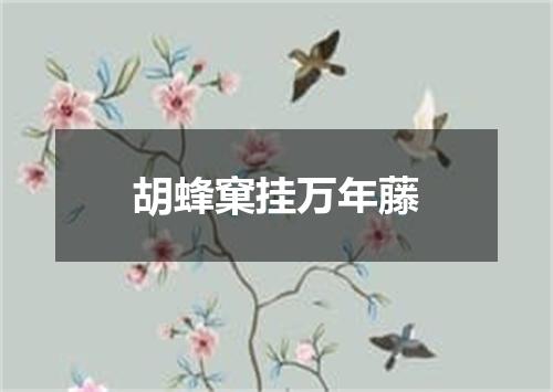 胡蜂窠挂万年藤