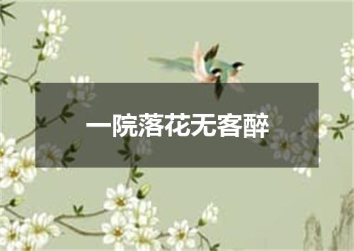 一院落花无客醉