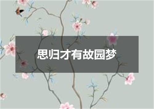 思归才有故园梦