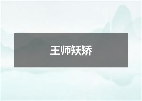 王师矨矫