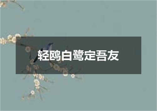 轻鸥白鹭定吾友