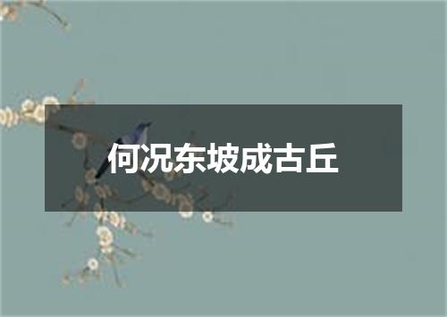 何况东坡成古丘