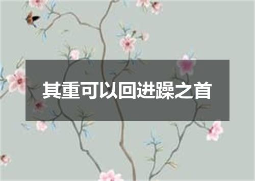 其重可以回进躁之首