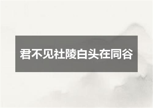 君不见社陵白头在同谷