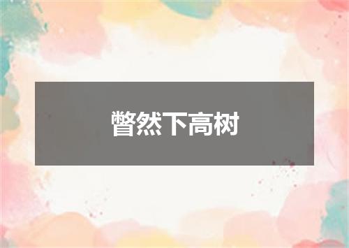 瞥然下高树