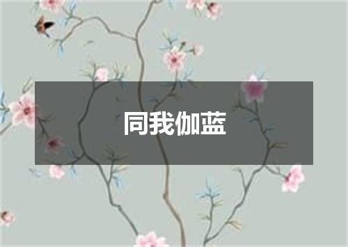 同我伽蓝