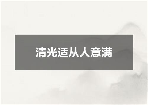 清光适从人意满