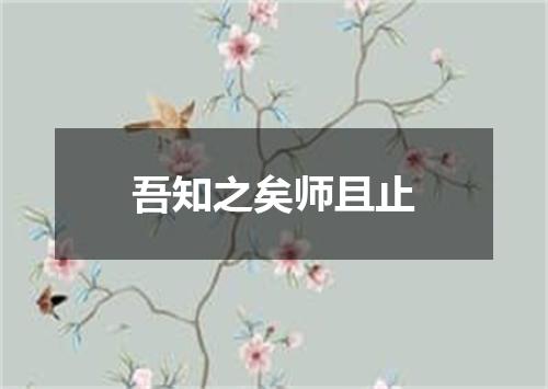 吾知之矣师且止