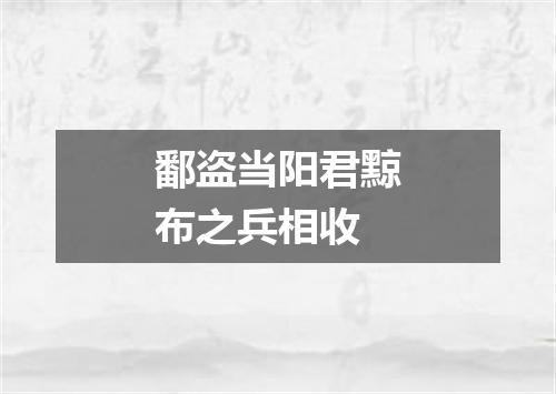 鄱盗当阳君黥布之兵相收