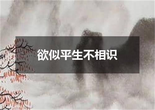 欲似平生不相识