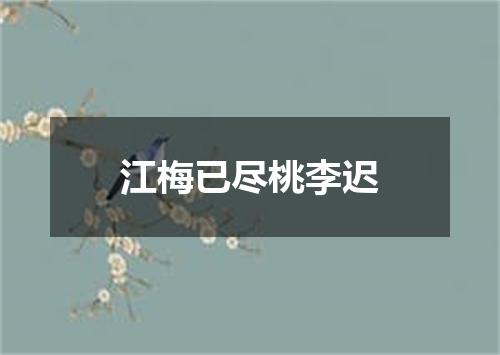 江梅已尽桃李迟