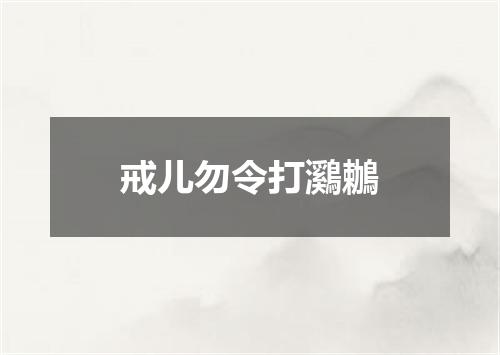 戒儿勿令打鸂鶒