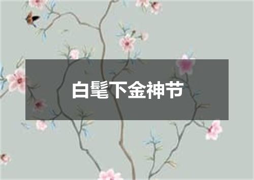 白髦下金神节