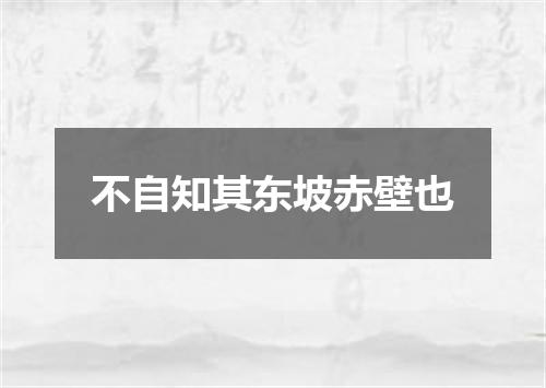 不自知其东坡赤壁也