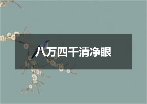 八万四千清净眼