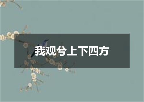 我观兮上下四方