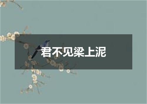 君不见梁上泥