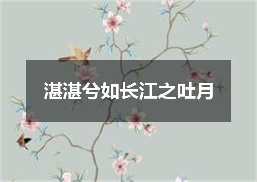 湛湛兮如长江之吐月