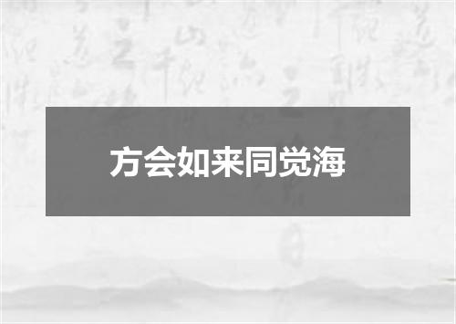 方会如来同觉海