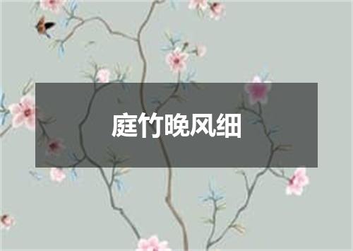 庭竹晚风细