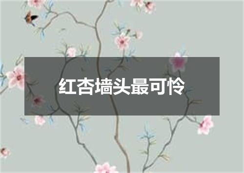 红杏墙头最可怜